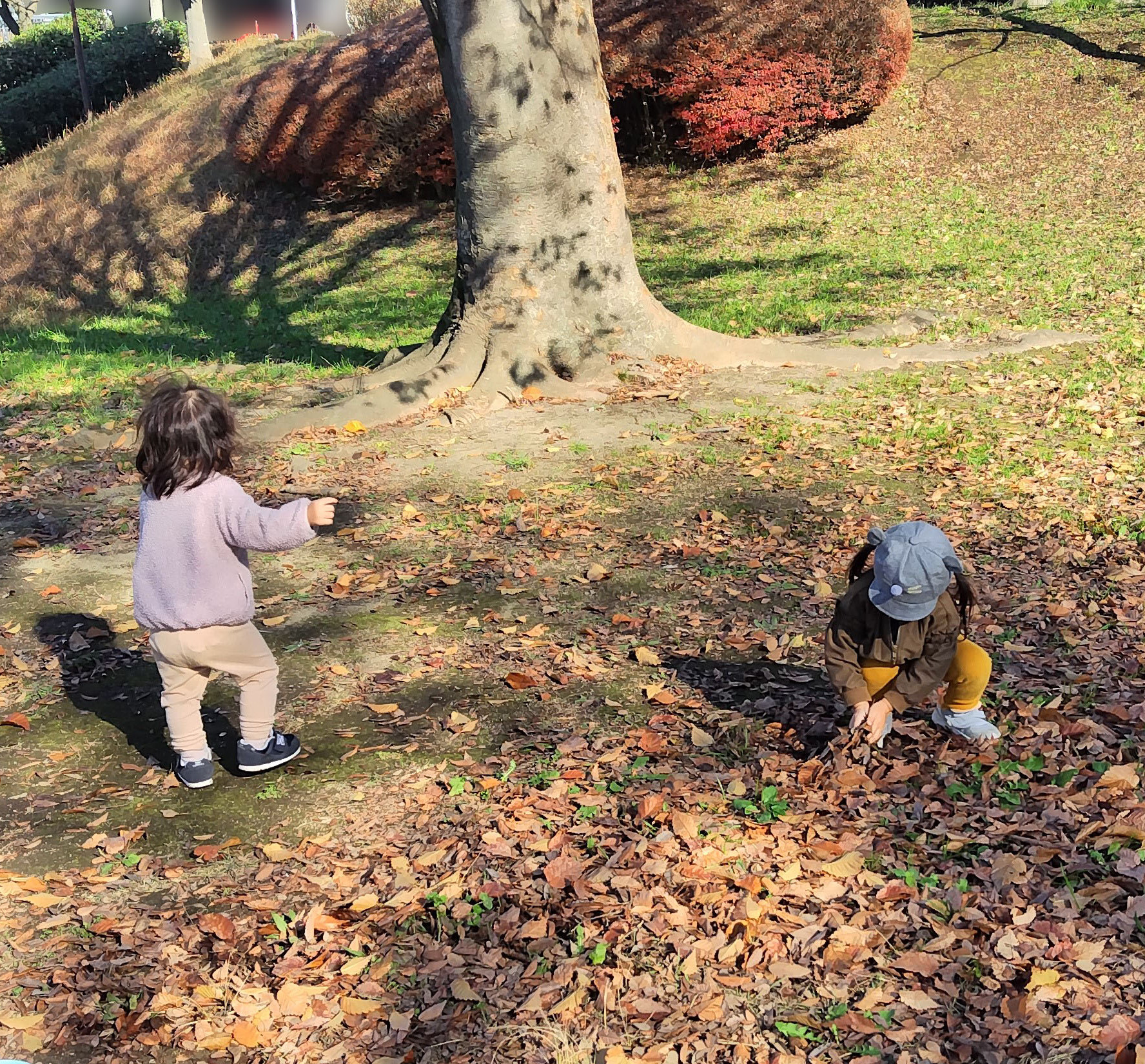 公園で遊ぶ写真